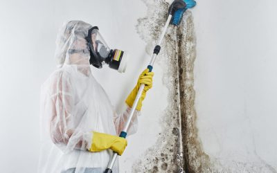 Hidden Causes of Mold in San Antonio Homes