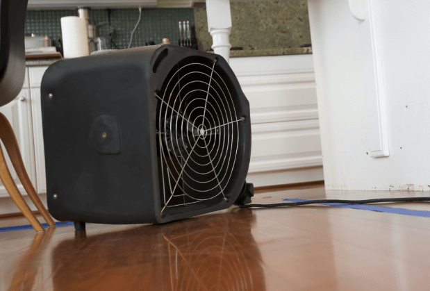 What Additional Services Can Help After Water Damage