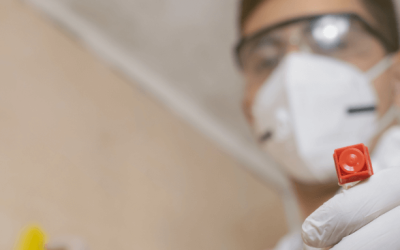 Can You Stay Home During Mold Remediation in San Antonio, TX?